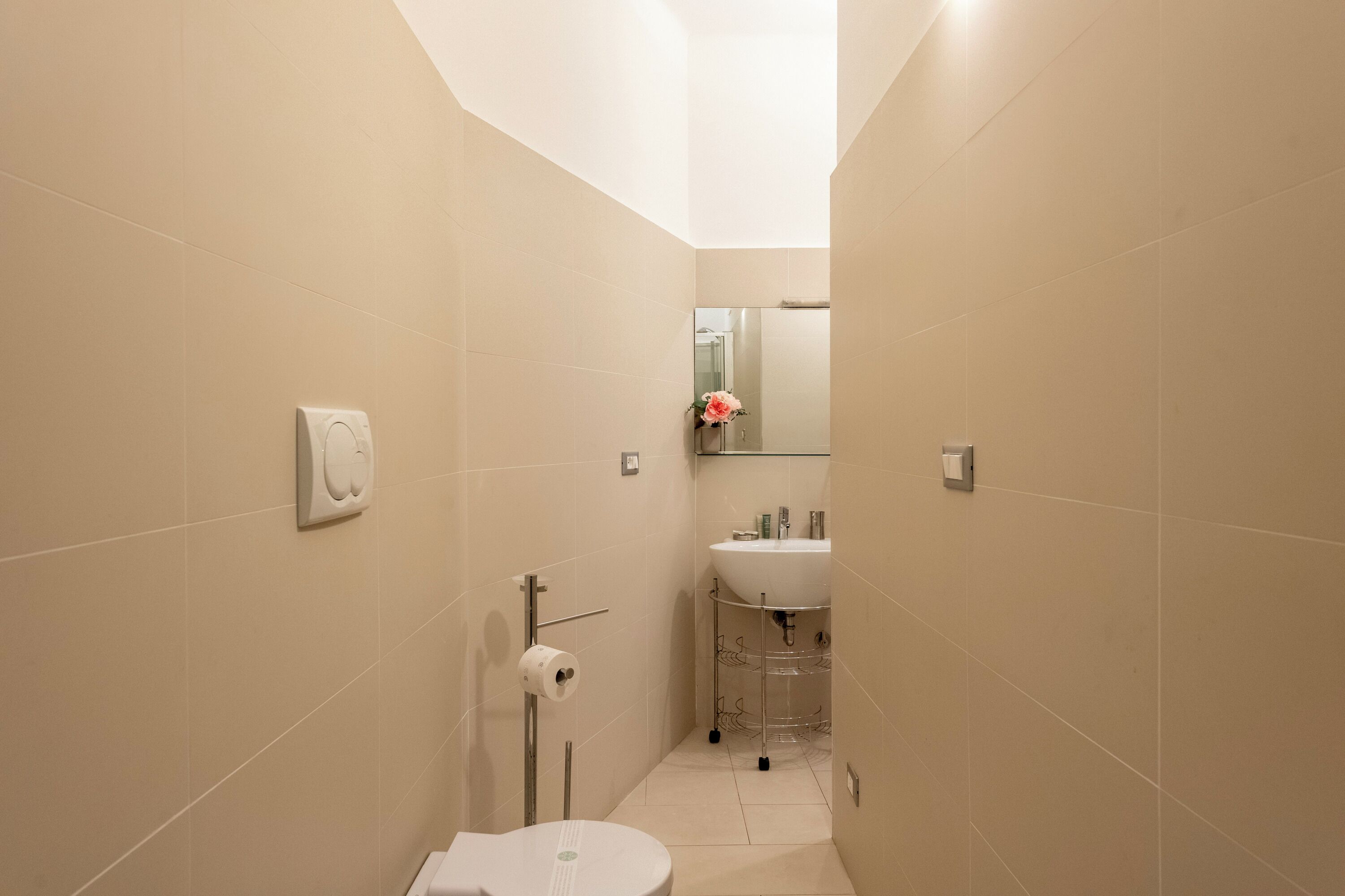A narrow bathroom with a toilet, a sink, and a mirror.