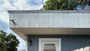 Un petit bâtiment en bois avec une porte blanche, une terrasse en bois avec un paillasson et un portail en métal.