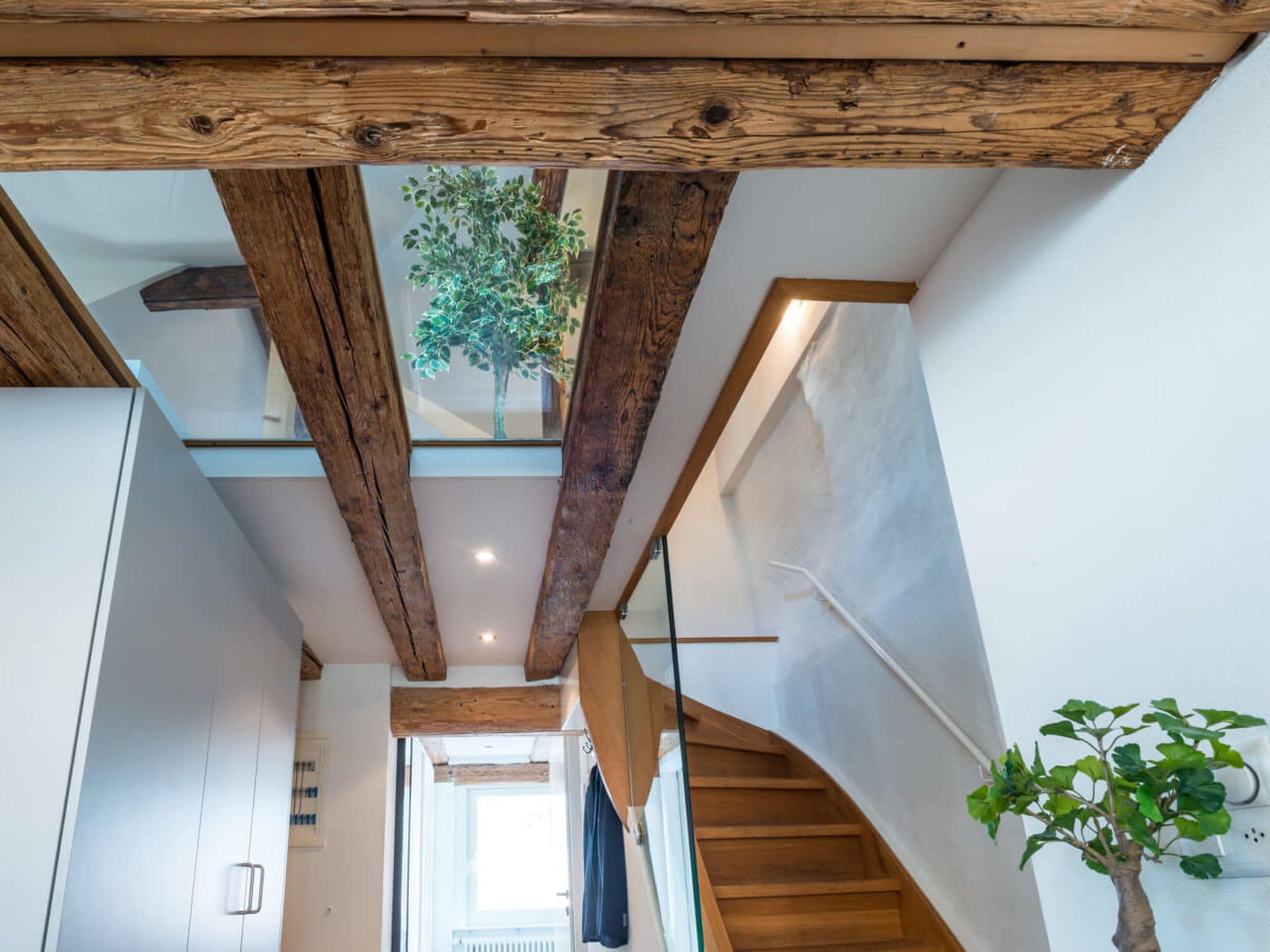 Un interior moderno con vigas de madera a la vista, una escalera y una vista de un árbol a través de un tragaluz.