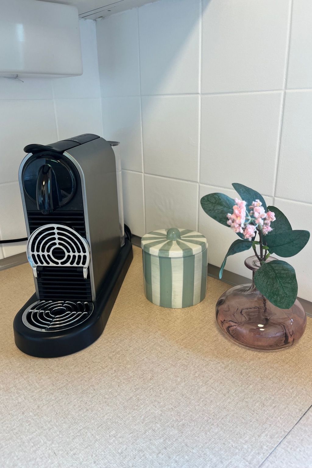 Una cafetera, una caja de regalo a rayas y una planta en maceta sobre una encimera.