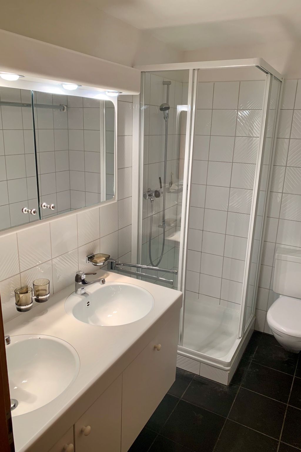 A bathroom with two sinks, a glass-enclosed shower, and a toilet.