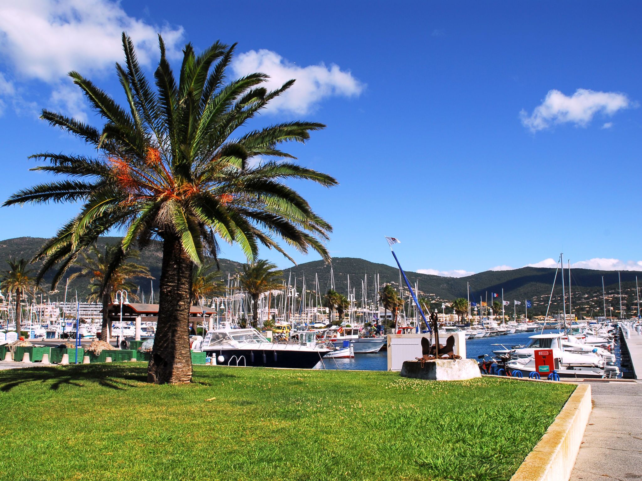 Puerto deportivo