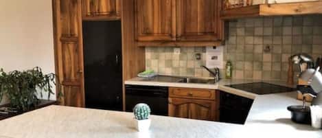 Kühlschrank, Ofen, Geschirrspüler, Kochgeschirr/Geschirr/Besteck
