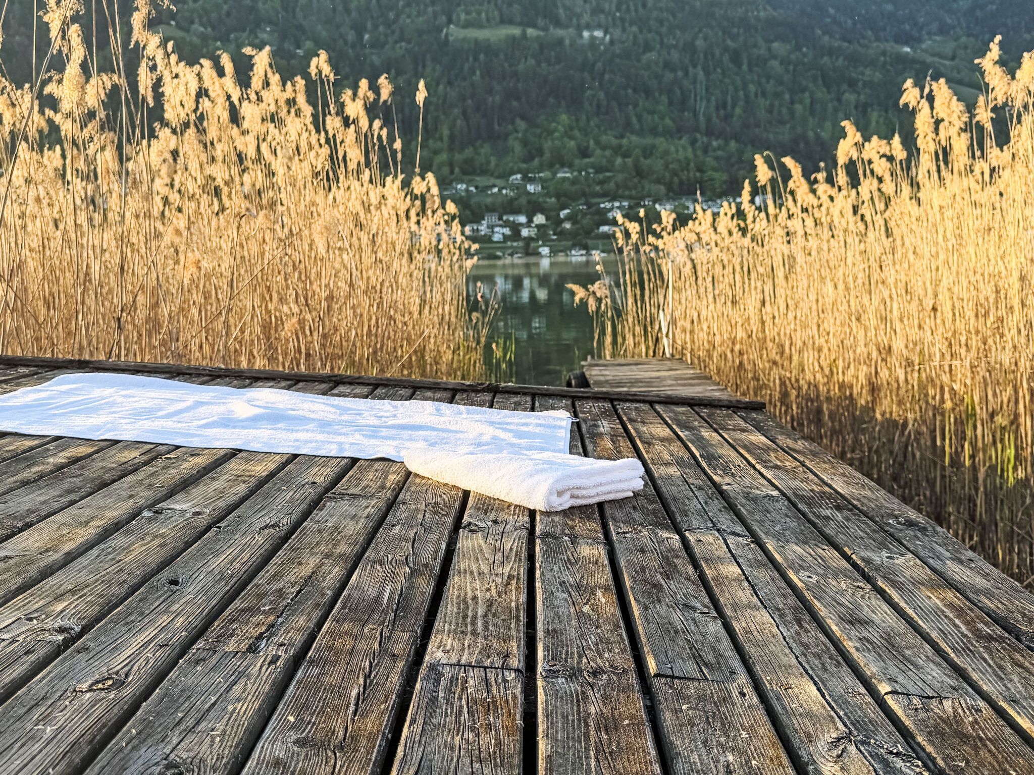A wooden deck with a map, overlooking a lake and dense reeds.