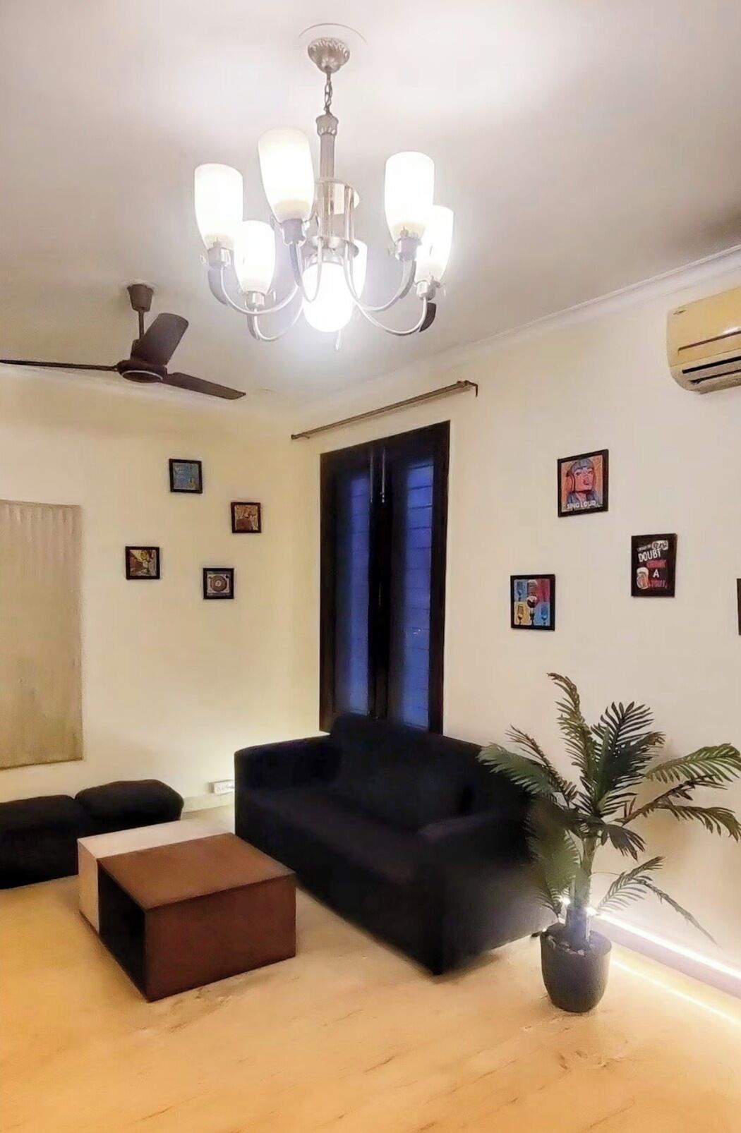 A living room with a chandelier, ceiling fan, black sofa, wooden floor, and a potted plant.