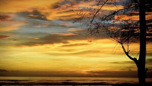 A sunset over a body of water with a silhouette of a tree and a distant shoreline. - Honeymoon Resorts Cox's Bazar (Cox's Bazar)