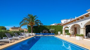 Une piscine avec des chaises longues et un palmier.