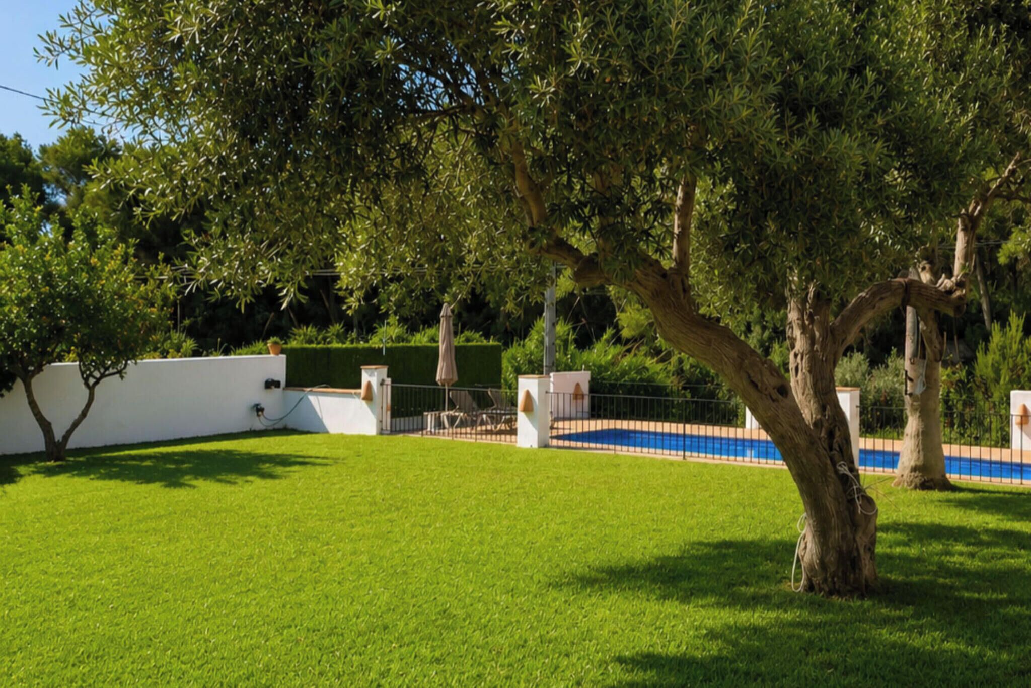 A well-maintained grassy area with a tree, a white wall, and a pool in the background.