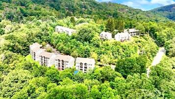 Un hotel en una ladera rodeado de un denso bosque, con varias construcciones.