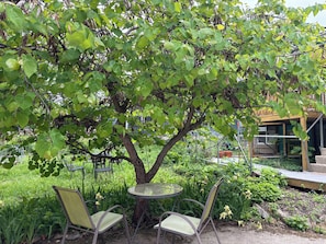 A tree with chairs under it, a small table, and a garden with various plants.