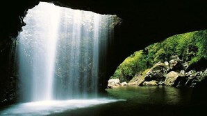 Ein Wasserfall in einer Höhle mit einem Becken am Fuße, umgeben von viel Grün.