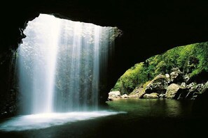 A waterfall in a cave with a pool at the base, surrounded by greenery. - Waterview Hope Island House (Hope Island)