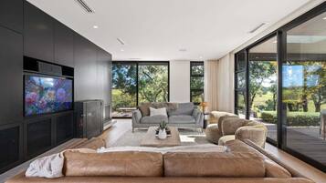 TV, fireplace, offices