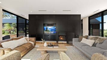 TV, fireplace, offices
