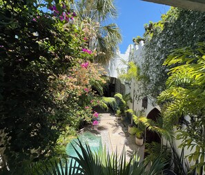 Ein Innenhof mit Pool, umgeben von üppiger Vegetation und einem weißen Gebäude mit Bögen.