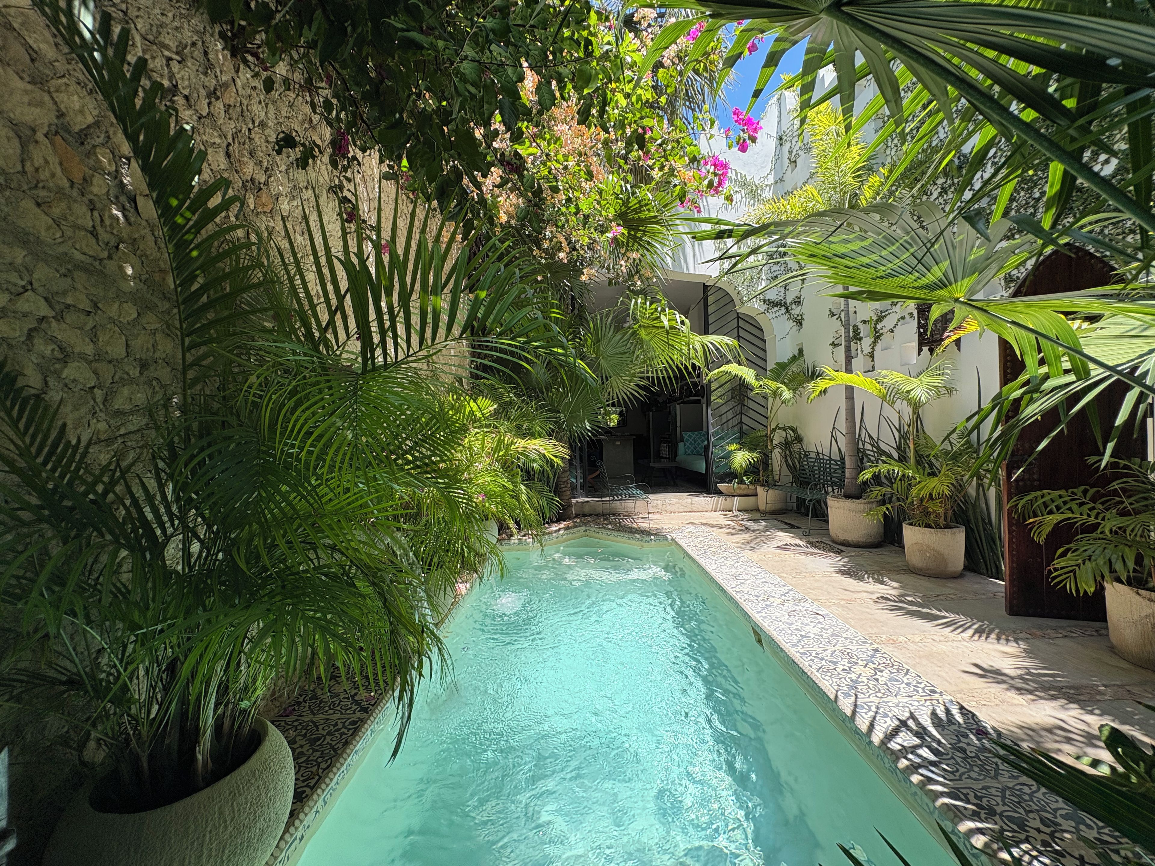 A narrow pool with clear water, surrounded by lush greenery and potted plants.