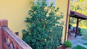 Un edificio amarillo con una escalera de madera, una ventana con contraventanas blancas y un jardín con un banco y plantas en macetas.