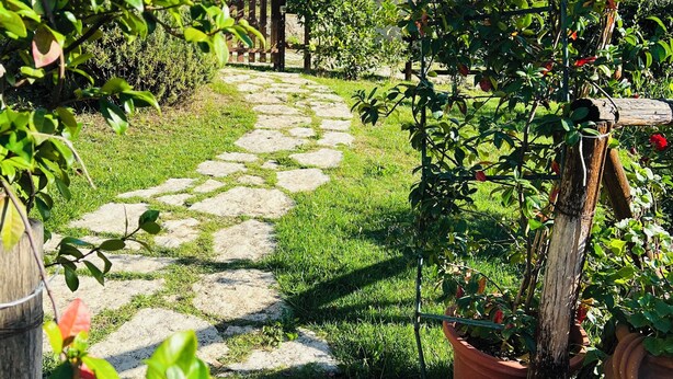 Un sendero de piedra que atraviesa un jardín con plantas en macetas y una valla de madera.