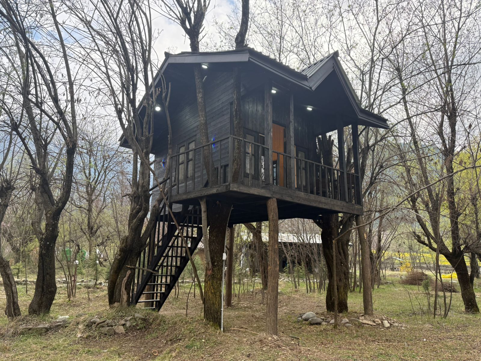 Superior Tree House | Exterior