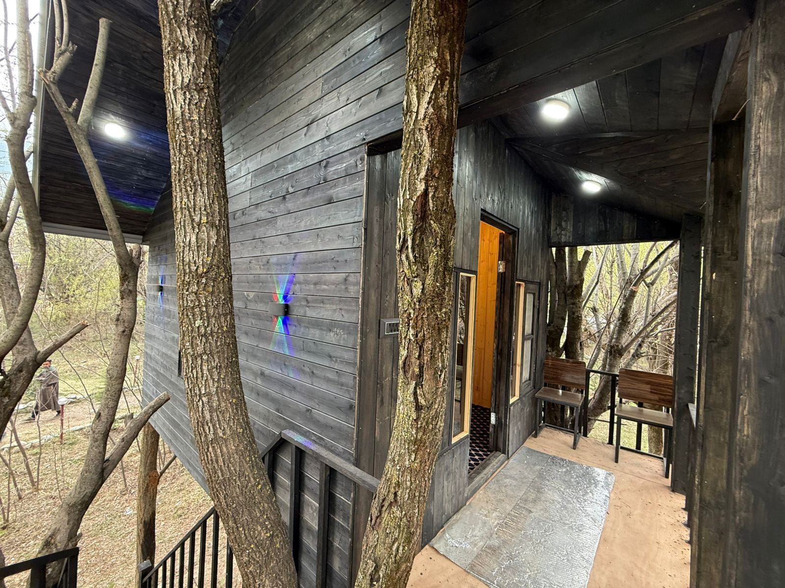 Superior Tree House | Teres/patio