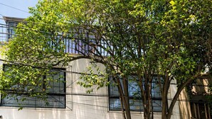 A modern building with a black car parked in front, a tree in the foreground, and a clear sky. - Full house in Condesa, 4 bedrooms, terrace and 3 levels (Ciudad de México)