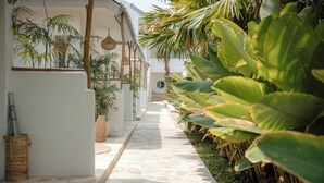 Een stenen pad dat leidt naar een wit gebouw met een betegeld dak, omgeven door weelderige groene planten en palmbomen.