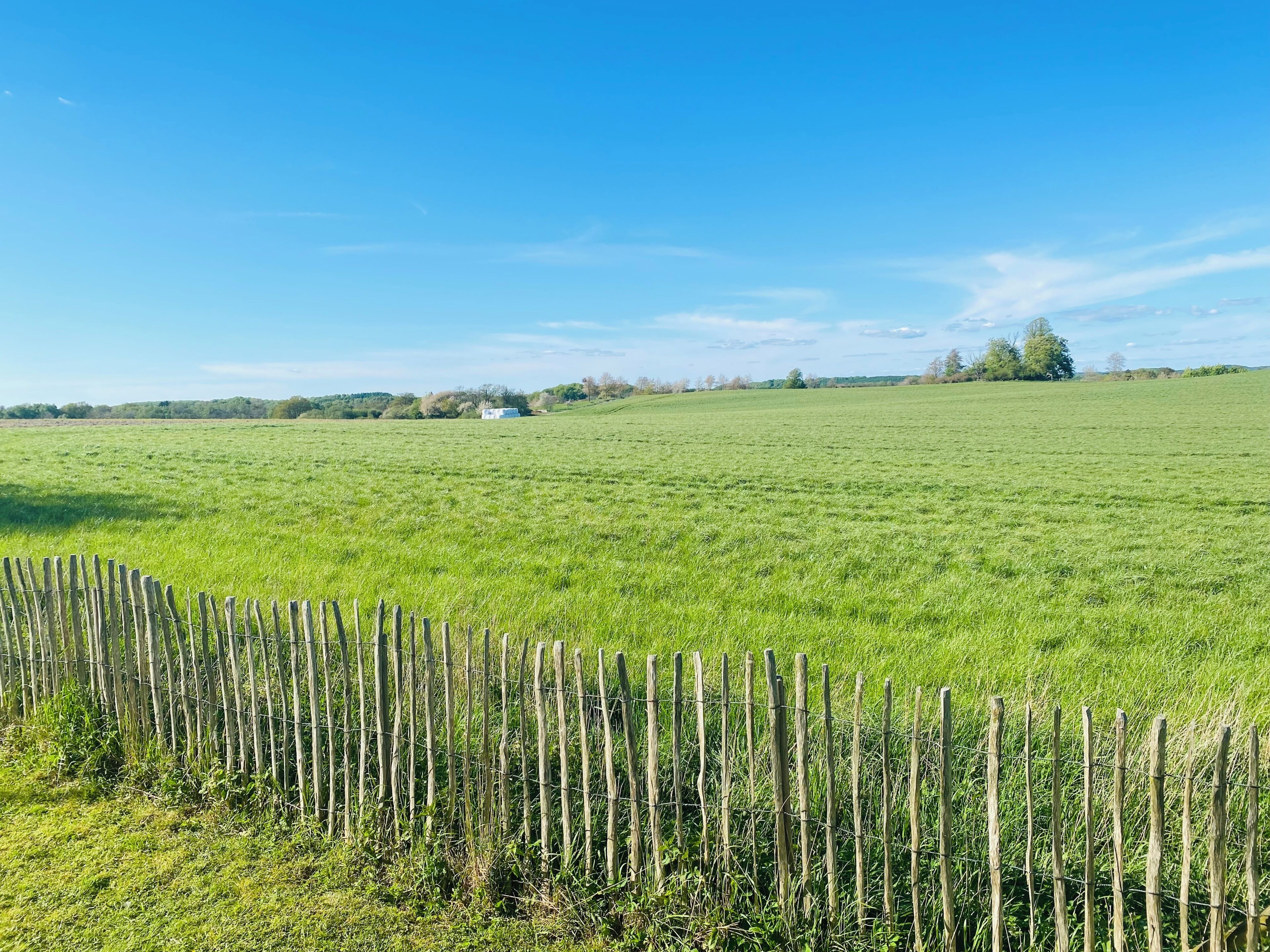 A wide-open field with a wooden fence in the foreground and a distant white building.
