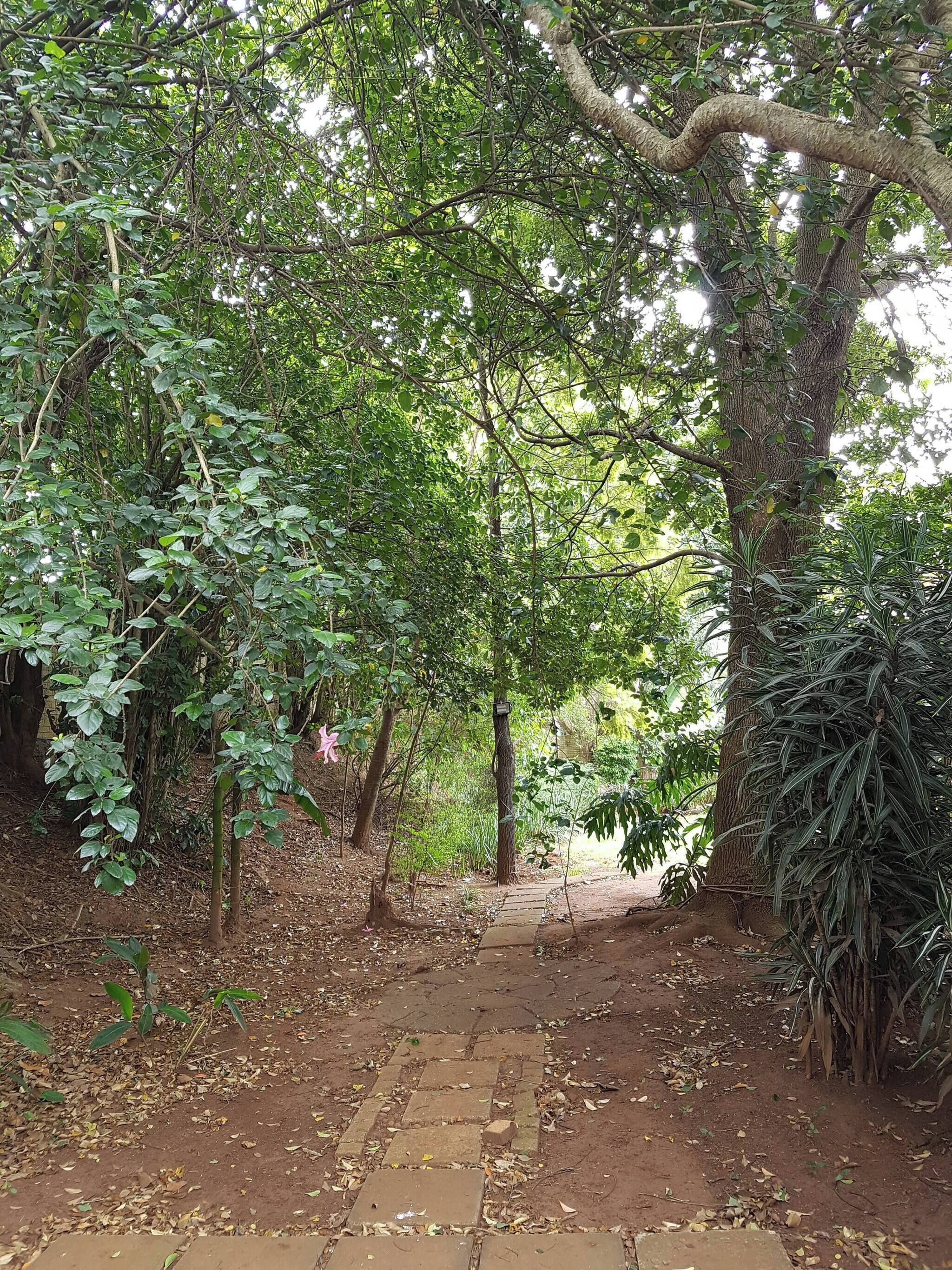 Taman