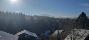 Eine bewaldete Landschaft mit einem Berg in der Ferne und einem Haus mit geneigtem Dach.