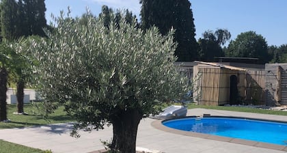 Enigma Lounge Chalet With Swimming Pool