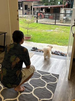 A person sitting on a mat at the entrance of a house, looking out at a small dog on the lawn.