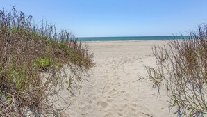 Ein sandiger Küstenpfad führt zum Meer, umgeben von Pflanzen.