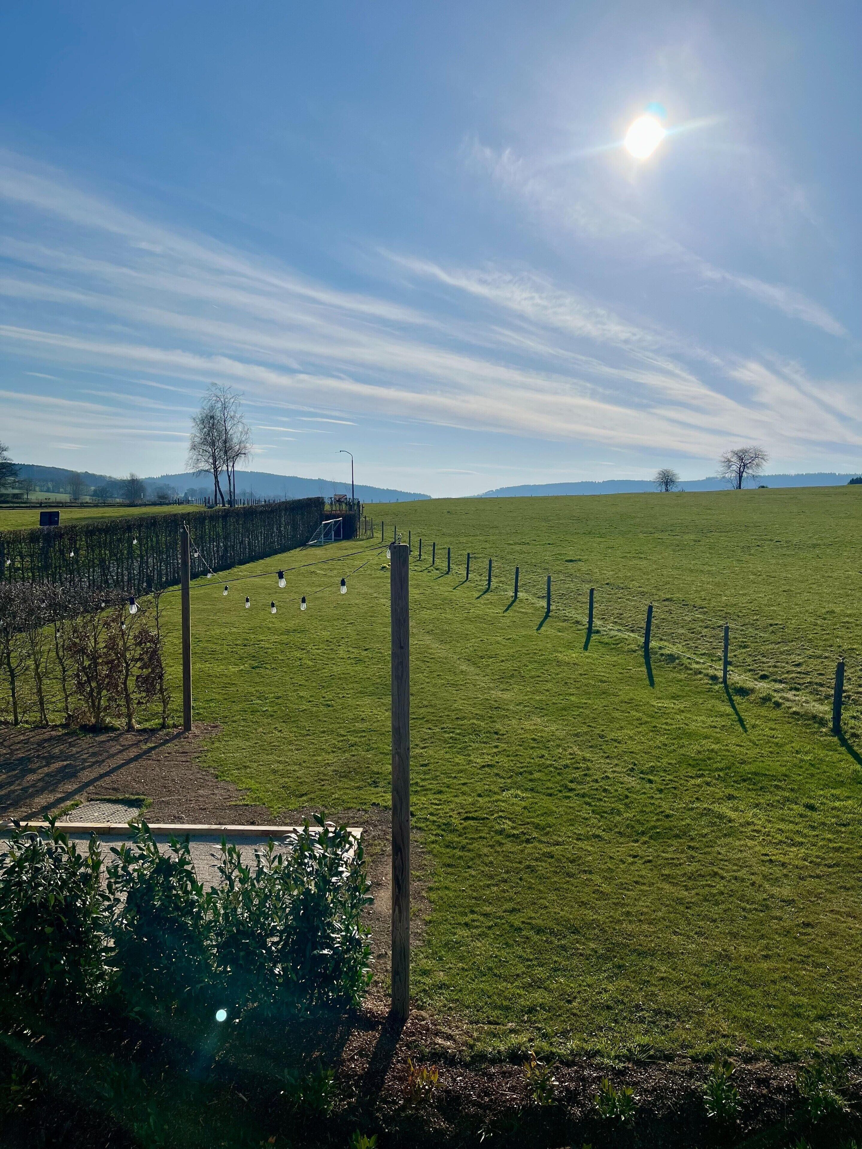A vineyard with rows of grapevines, a fence, and a clear sky.