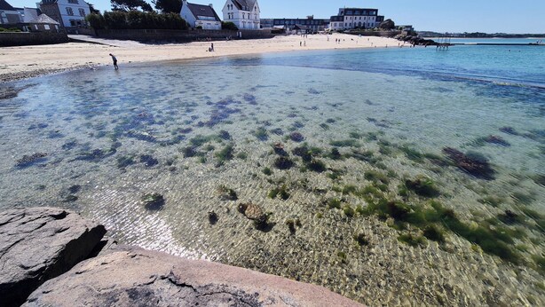 A beach with clear water, rocks, and houses in the background. - Renovated duplex apartment in residence on 3rd floor with elevator. (Roscoff)