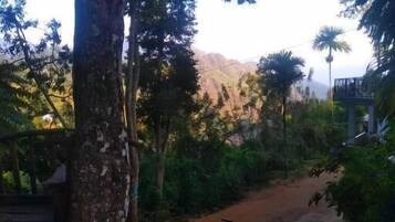 Deluxe Double Room, Balcony, Hill View | Miscellaneous