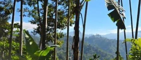 Deluxe Double Room, Balcony, Hill View | Outdoor dining