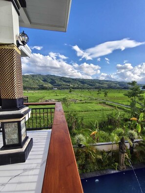 Property grounds - Villa Bagus (Banjar)