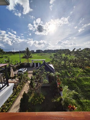Property grounds - Villa Bagus (Banjar)