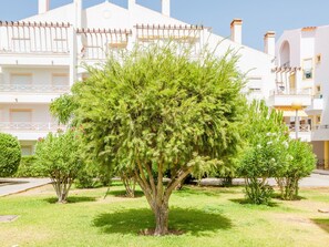 Ein Innenhof mit einem großen Baum, umgeben von gepflegtem Rasen und kleinen Sträuchern.