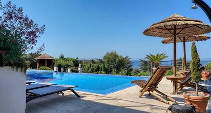 Rental Villa Sanary-sur-Mer - Garden Pool and Panoramic Sea View