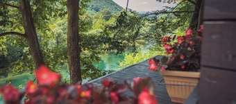 Hotel Tazz- River Front Oasis Collection