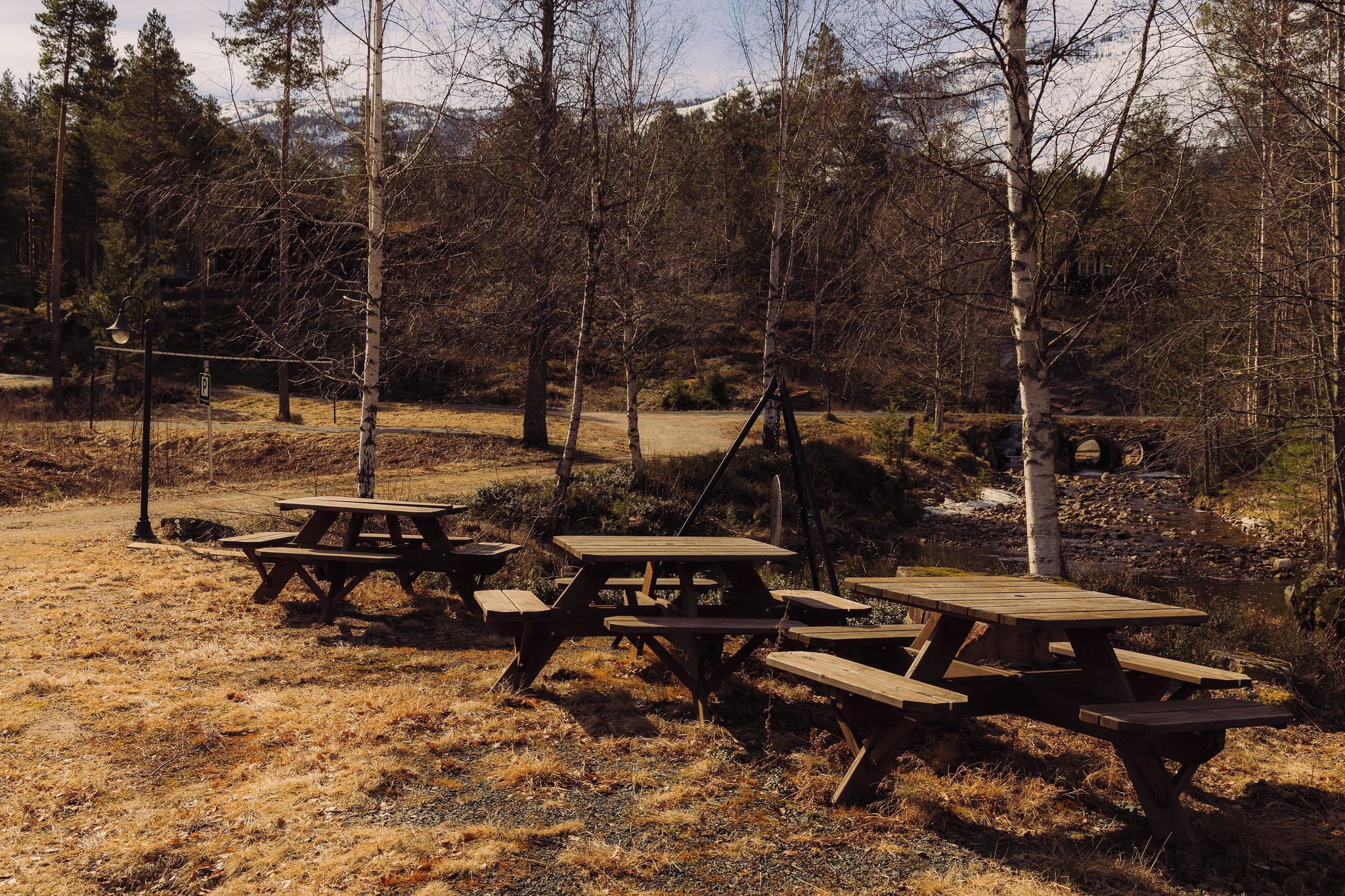 A picnic area with multiple wooden picnic tables and benches, surrounded by trees and a natural landscape.