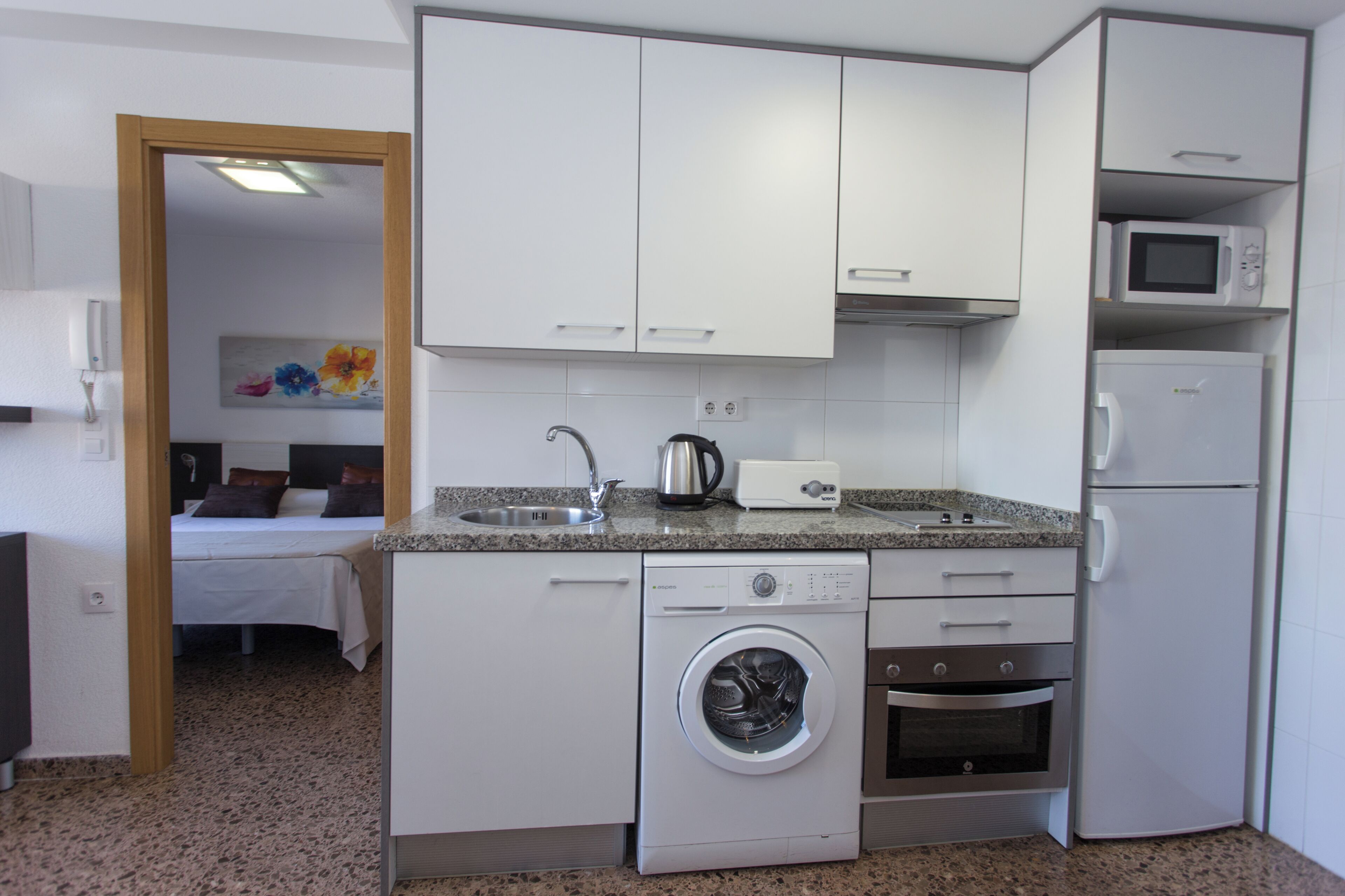 Classic Studio | Private kitchen | Fridge, microwave, oven, stovetop
