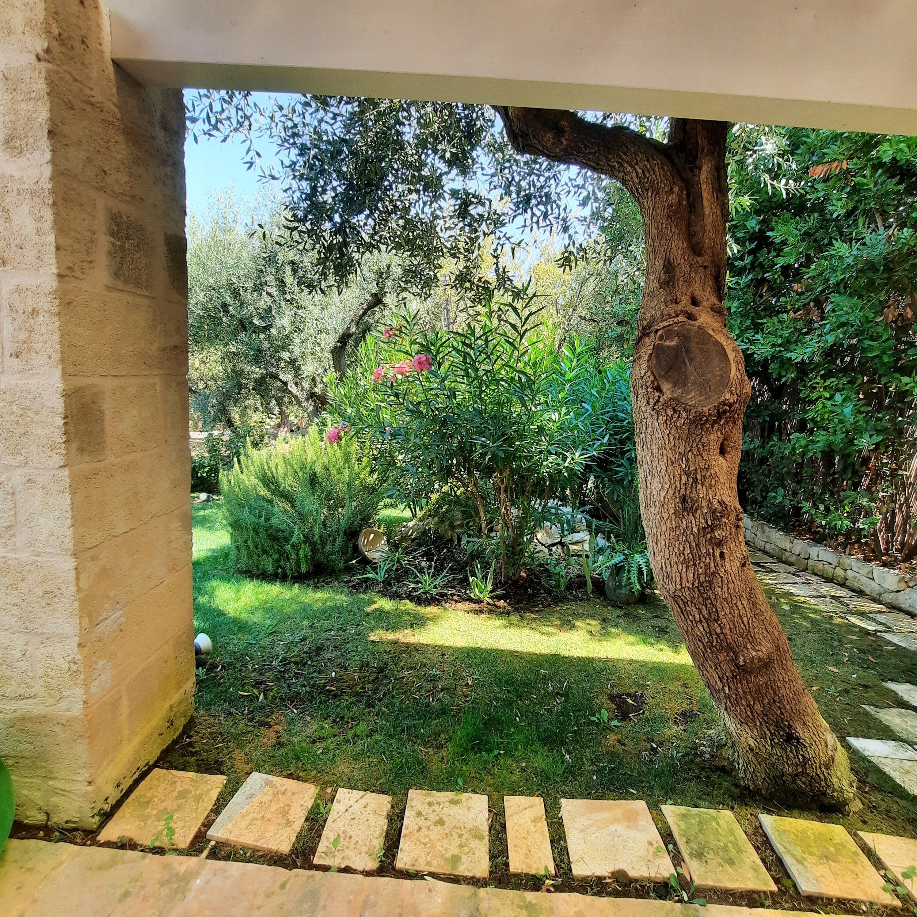 Jardines del alojamiento