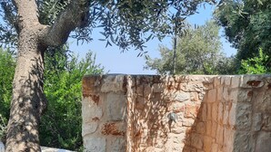 Una construcción de piedra con suelo de madera, rodeada de follaje.