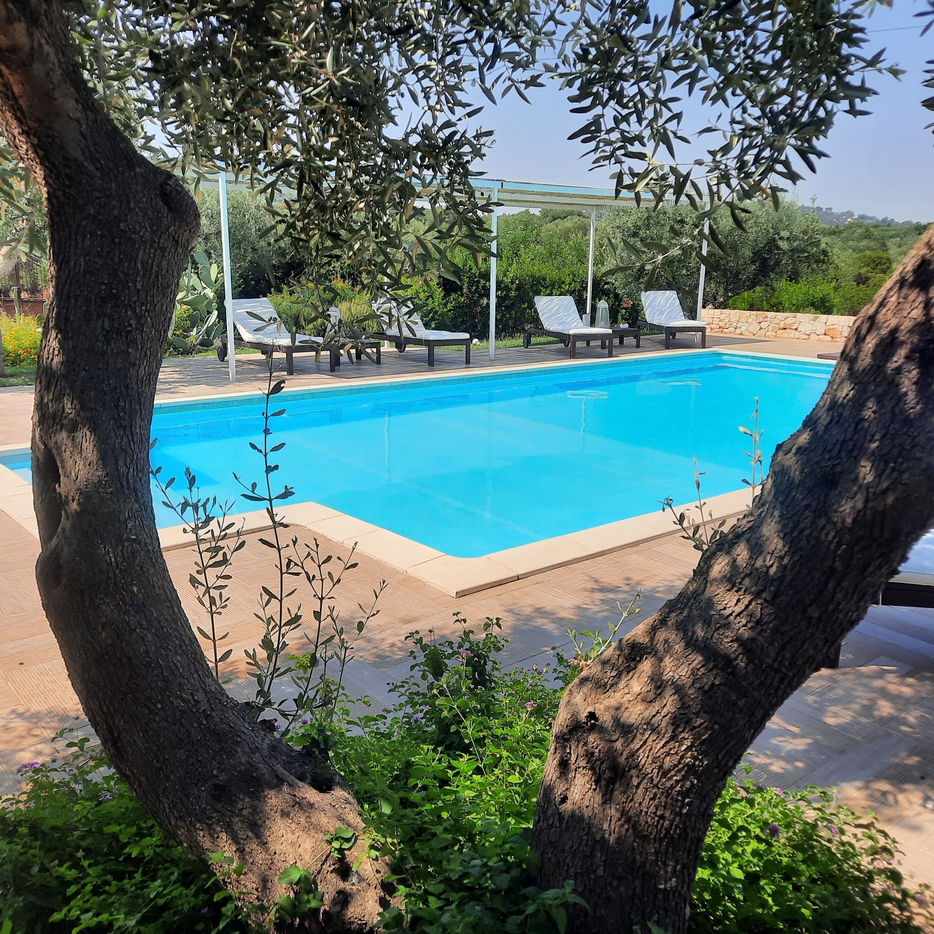 A swimming pool with lounge chairs and a pergola.