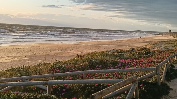 Une plage avec des vagues, une clôture en bois et une tour qui se dresse au loin.