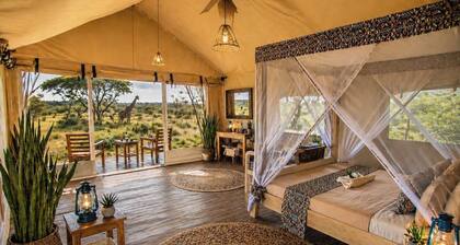 Africa Safari Serengeti Kogatende