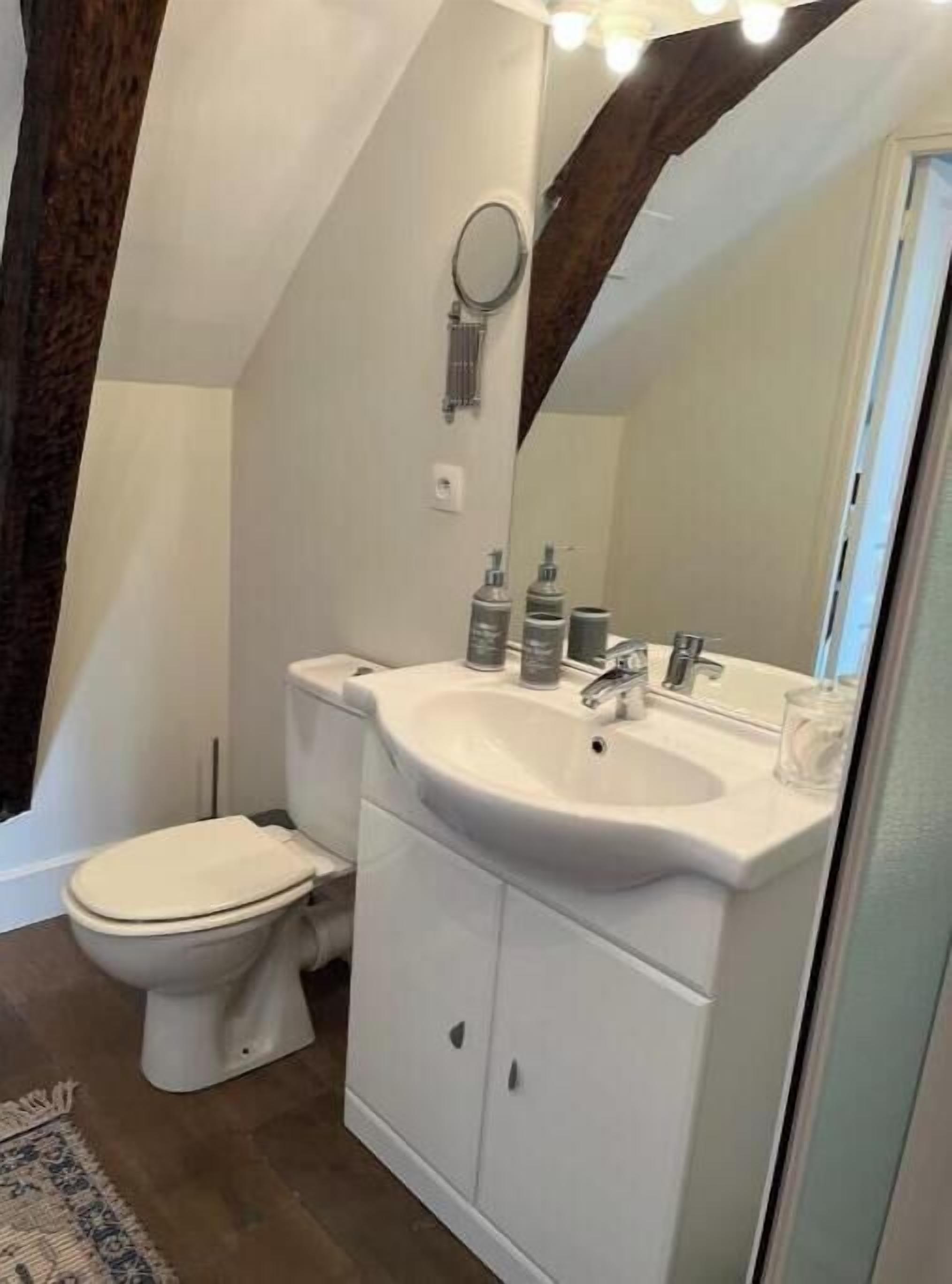 A bathroom with a toilet, sink, and mirror.