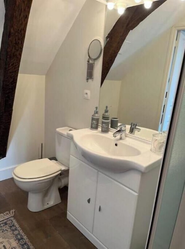 Une salle de bain avec des toilettes, un lavabo et un miroir.